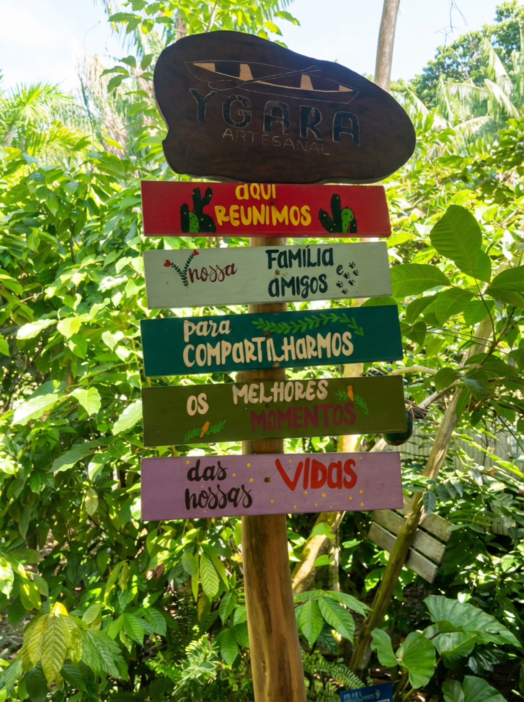 Açaí farmers